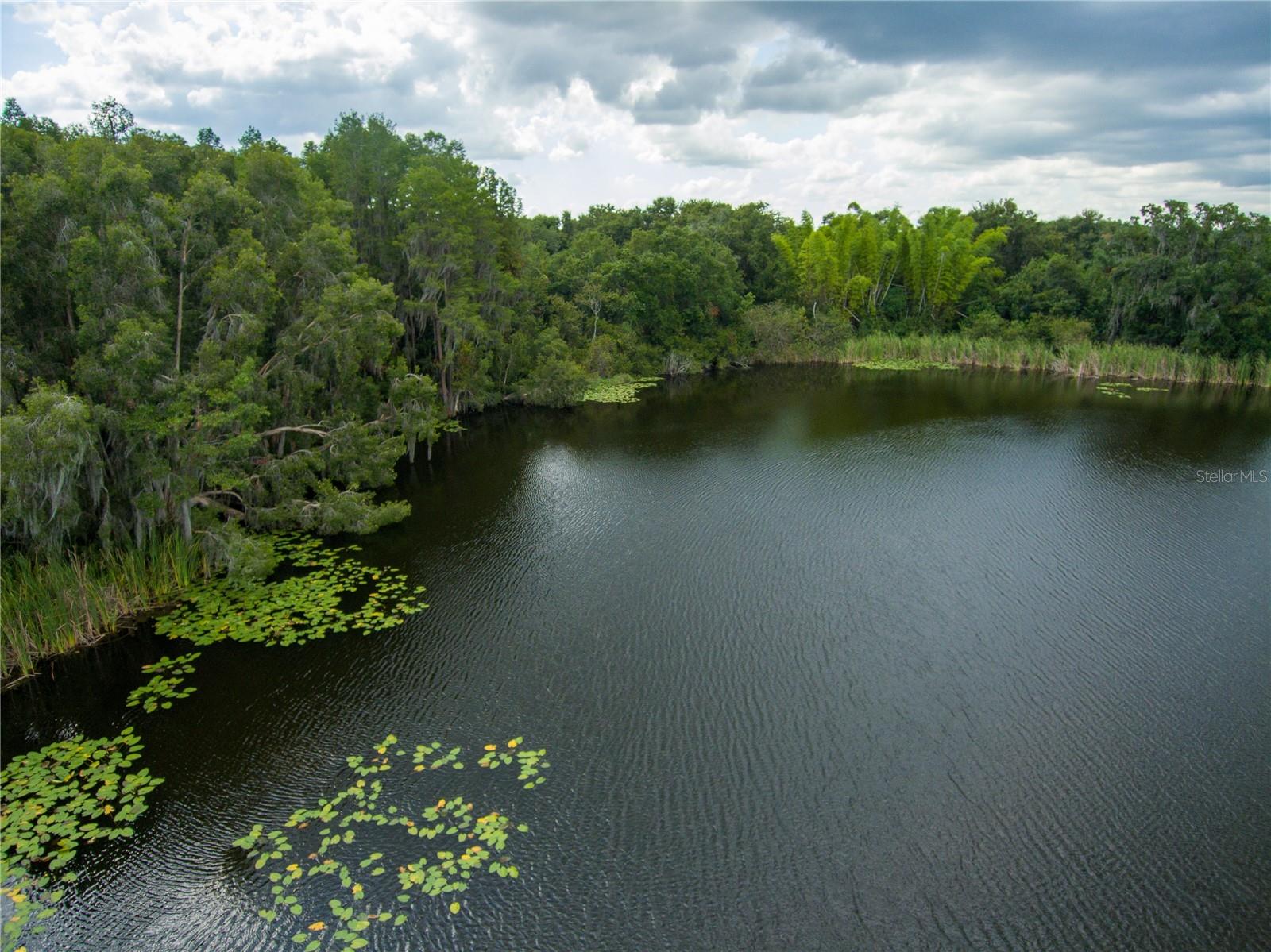 CARSON DR, LAND O LAKES, FL, 34639