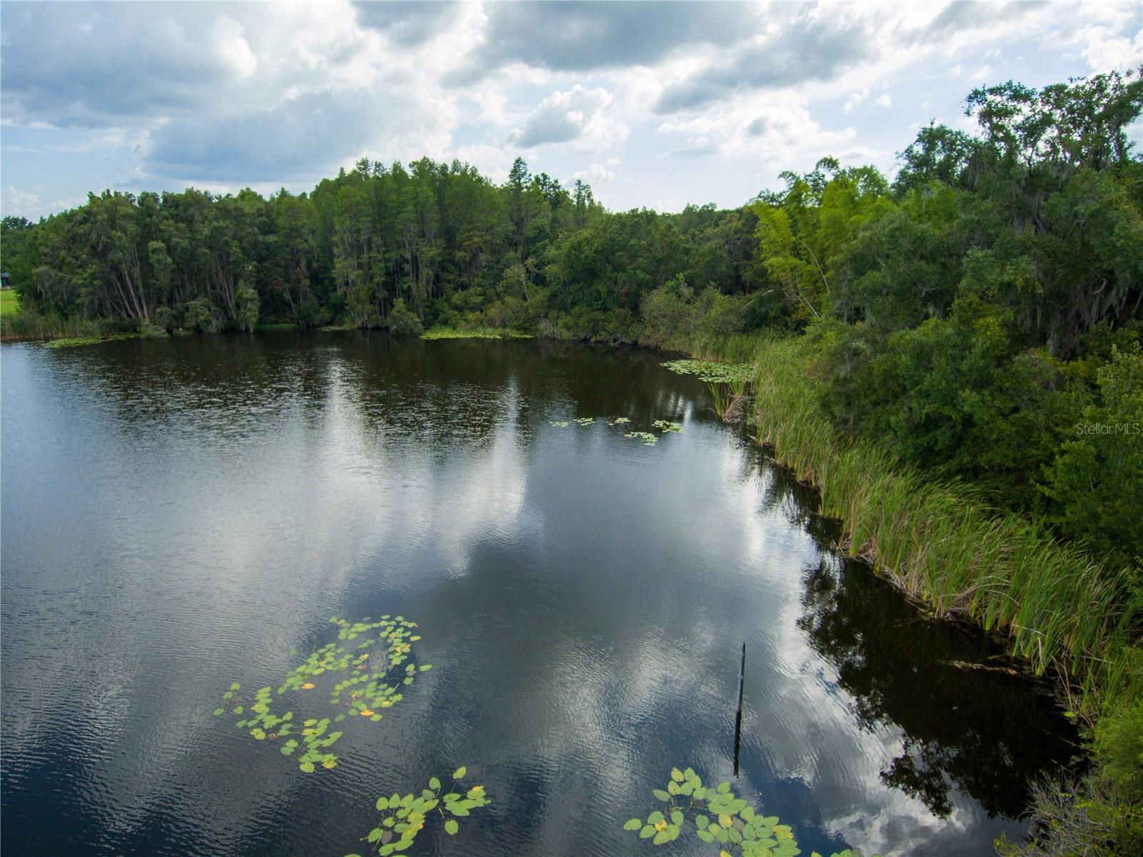 CARSON DR, LAND O LAKES, FL, 34639