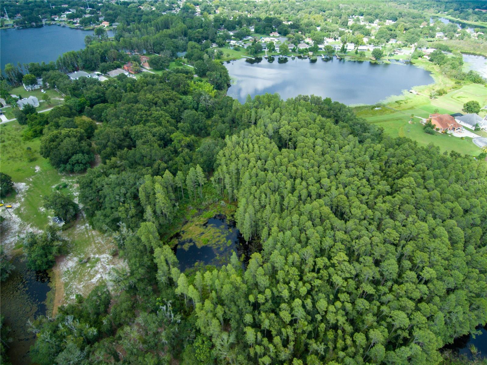 CARSON DR, LAND O LAKES, FL, 34639