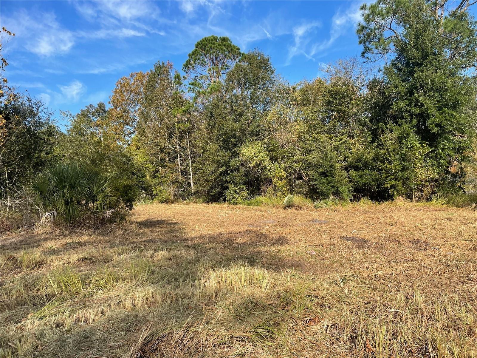 0 NW 23RD TER, GAINESVILLE, FL, 32606