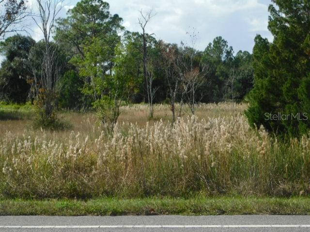0 TREIMAN BLVD., WEBSTER, FL, 33597