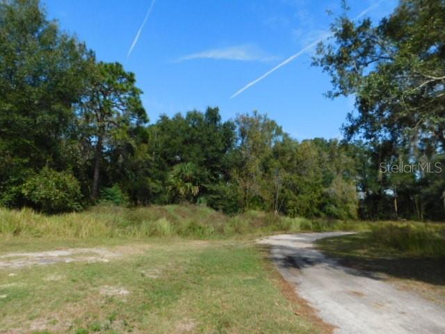 0 TREIMAN BLVD., WEBSTER, FL, 33597