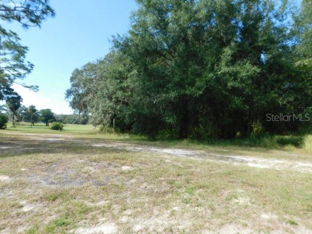 0 TREIMAN BLVD., WEBSTER, FL, 33597