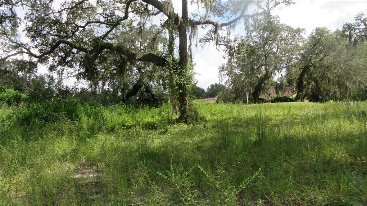 0 TREIMAN BLVD., WEBSTER, FL, 33597