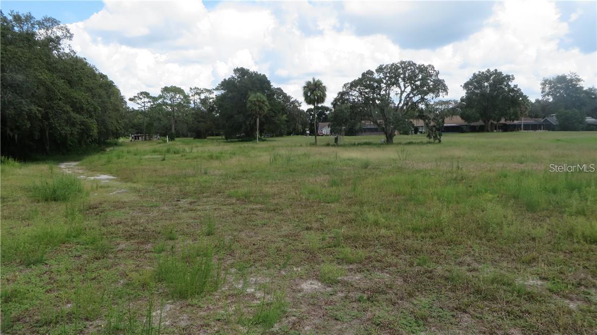 0 TREIMAN BLVD., WEBSTER, FL, 33597