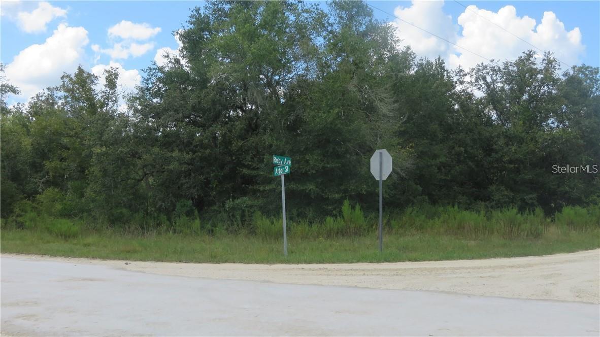 0 TREIMAN BLVD., WEBSTER, FL, 33597