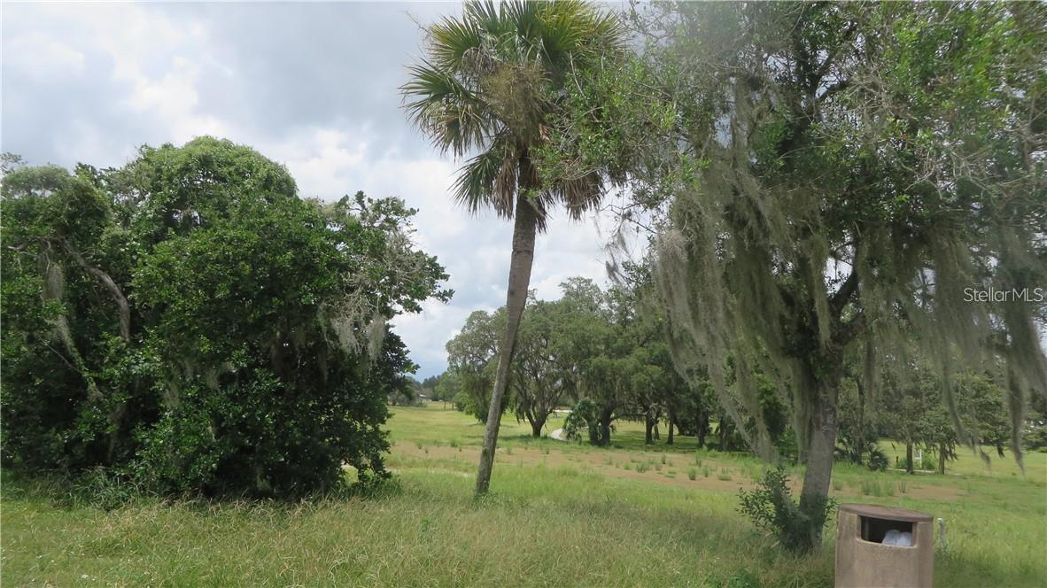 0 TREIMAN BLVD., WEBSTER, FL, 33597