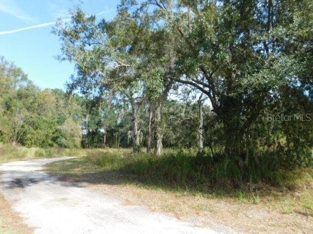 0 TREIMAN BLVD., WEBSTER, FL, 33597
