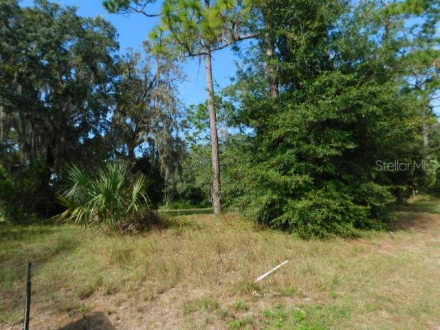 0 WHISPERING OAKS BLVD., DADE CITY, FL, 33523