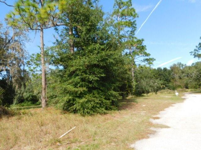 0 WHISPERING OAKS BLVD., DADE CITY, FL, 33523