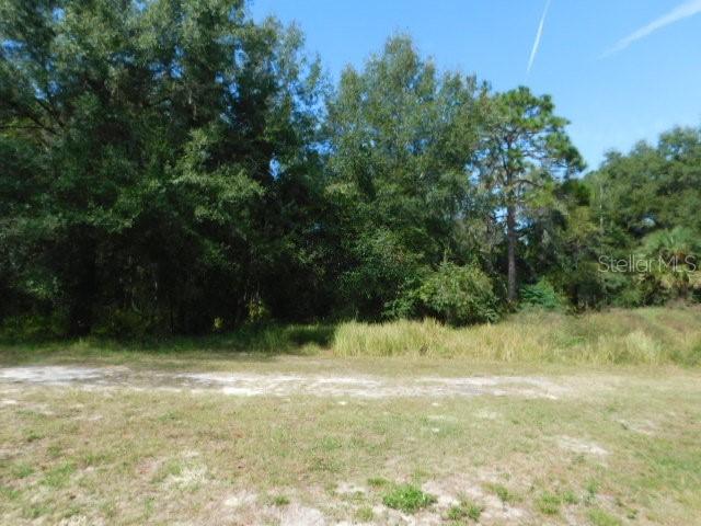 0 CEDARFIELD DRIVE, DADE CITY, FL, 33523