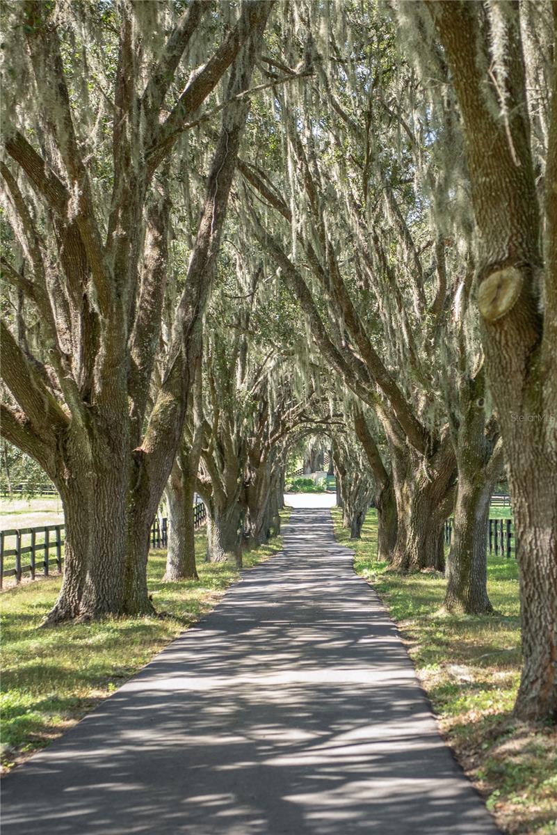 13703 NW HWY 225A, REDDICK, FL, 32686