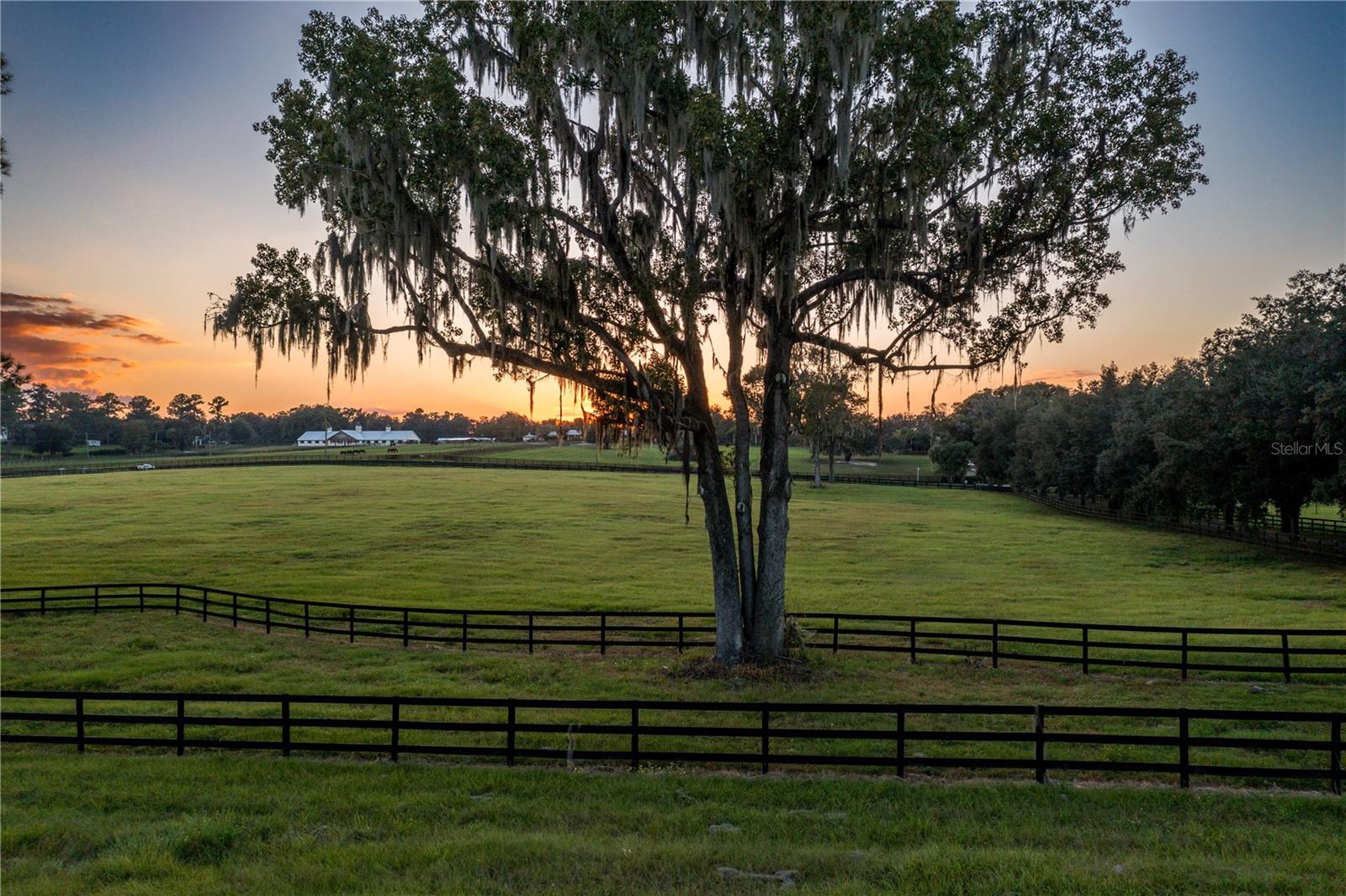 13703 NW HWY 225A, REDDICK, FL, 32686