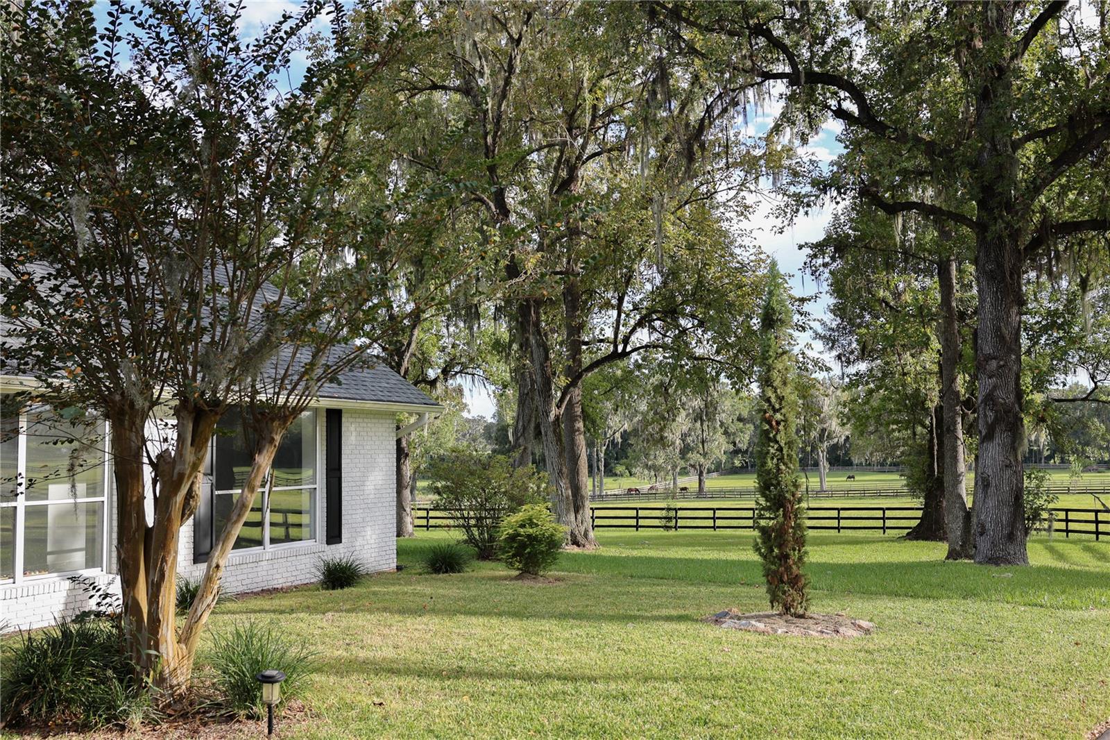 13703 NW HWY 225A, REDDICK, FL, 32686