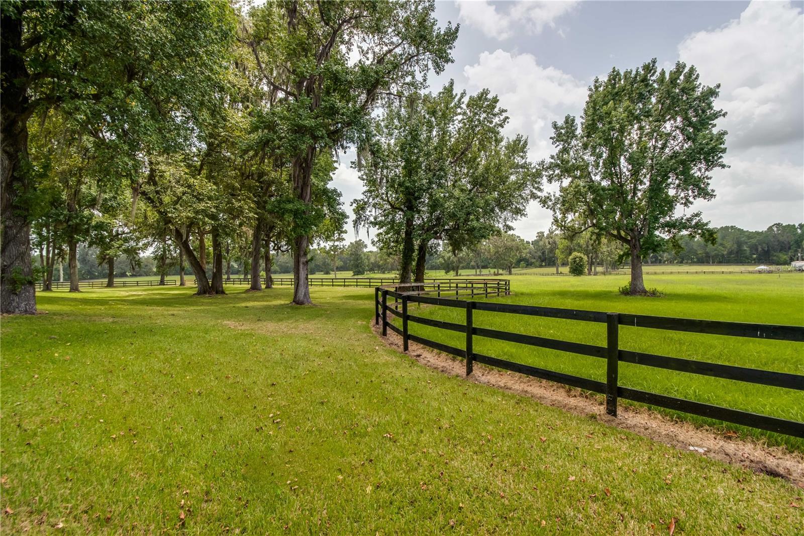 13703 NW HWY 225A, REDDICK, FL, 32686