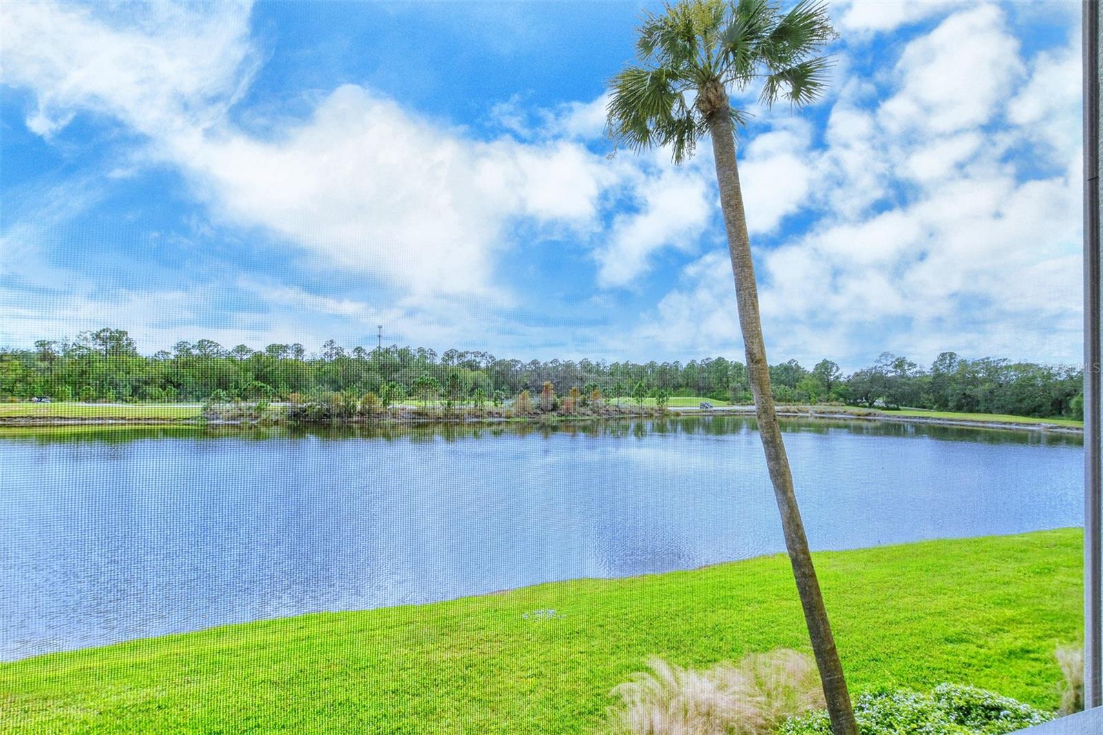 16804 VARDON TER #202, BRADENTON, FL, 34211