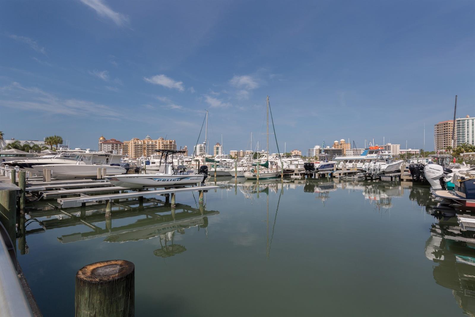 6115 CARLTON AVE, SARASOTA, FL, 34231