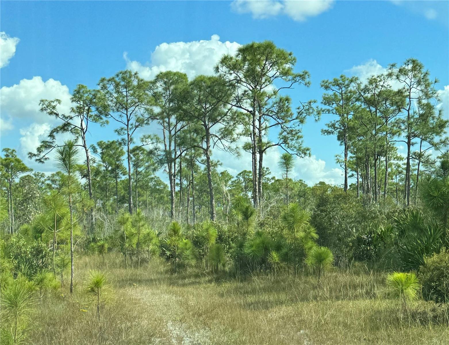 17480 BURNT STORE RD, PUNTA GORDA, FL, 33955