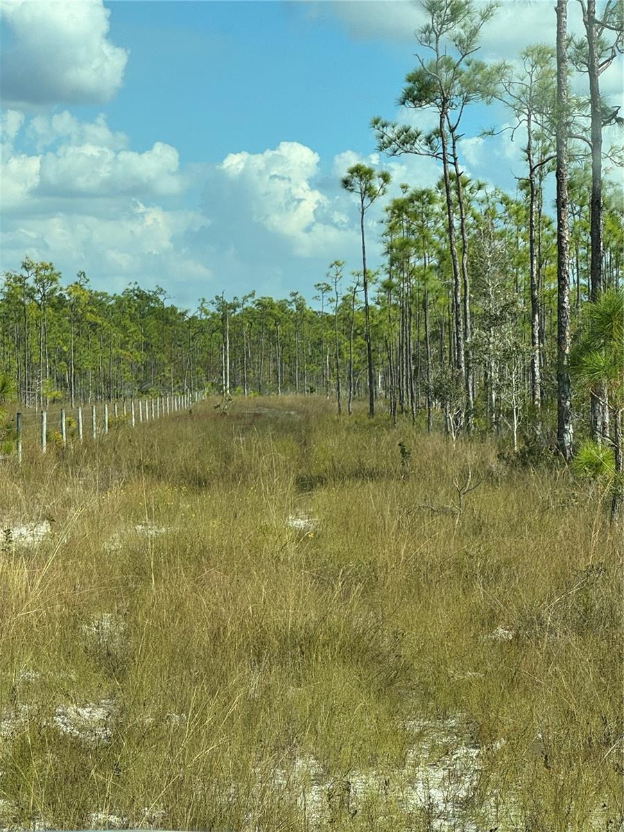 17480 BURNT STORE RD, PUNTA GORDA, FL, 33955