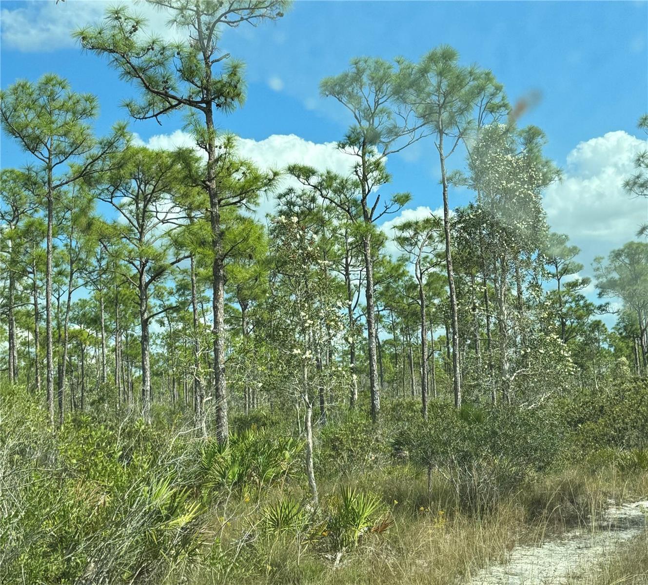 17480 BURNT STORE RD, PUNTA GORDA, FL, 33955