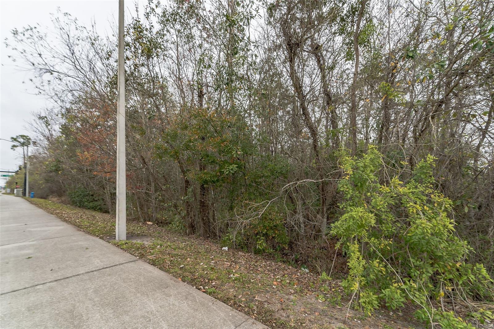 2310 ROUSE RD, ORLANDO, FL, 32817