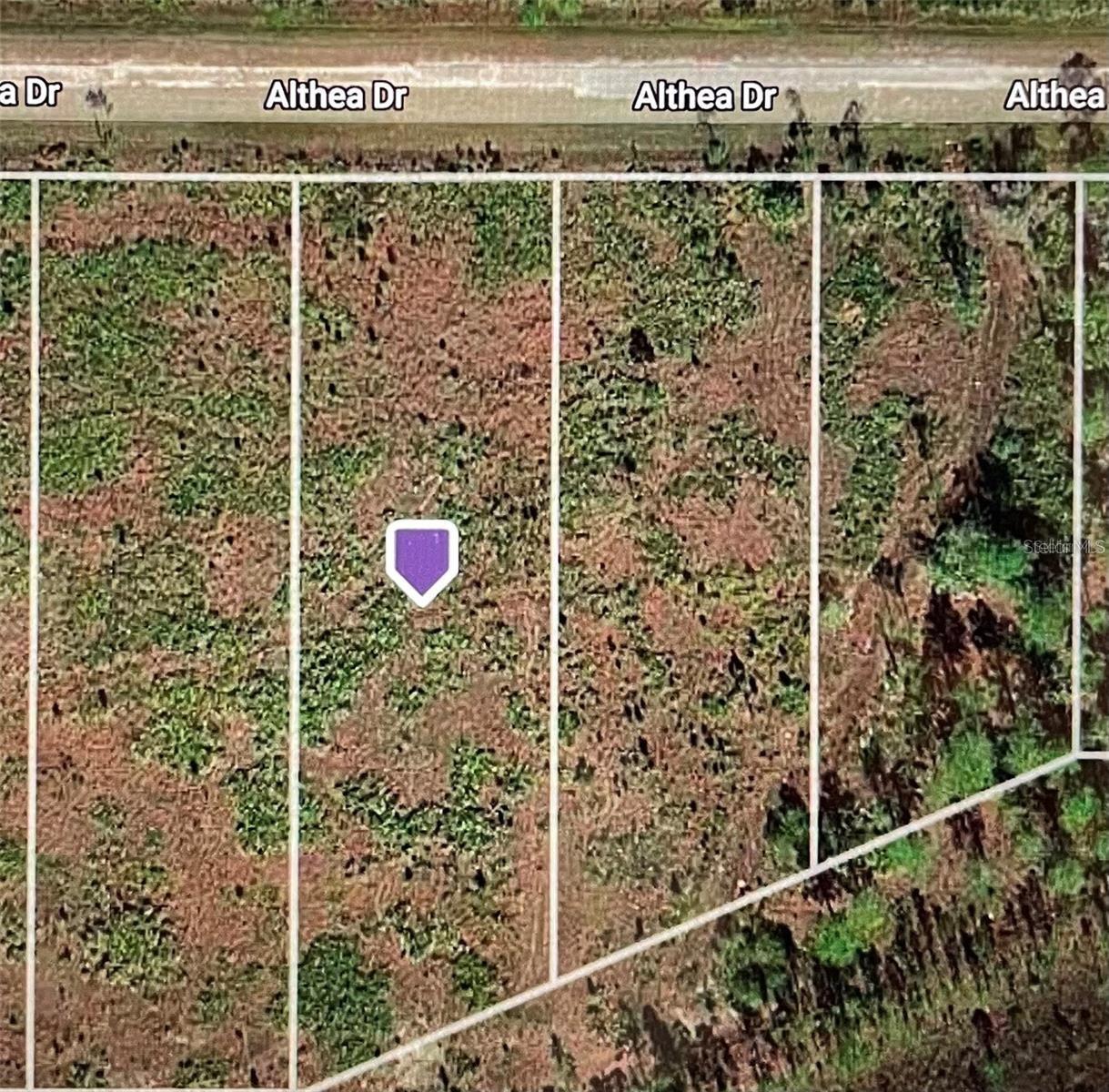 ALTHEA DR, LAKE WALES, FL, 33898