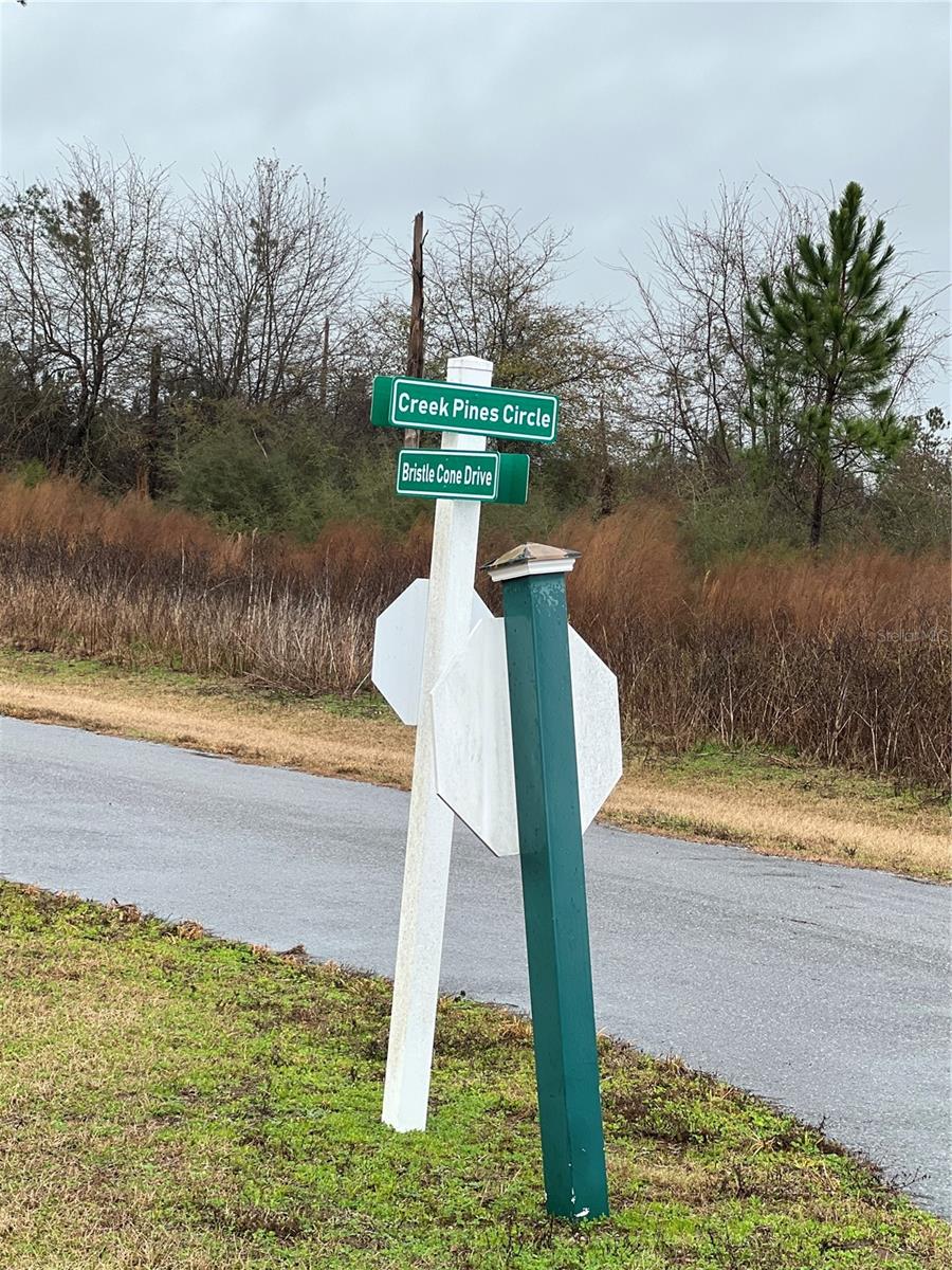 CREEK PINES CIR, WEWAHITCHKA, FL, 32465
