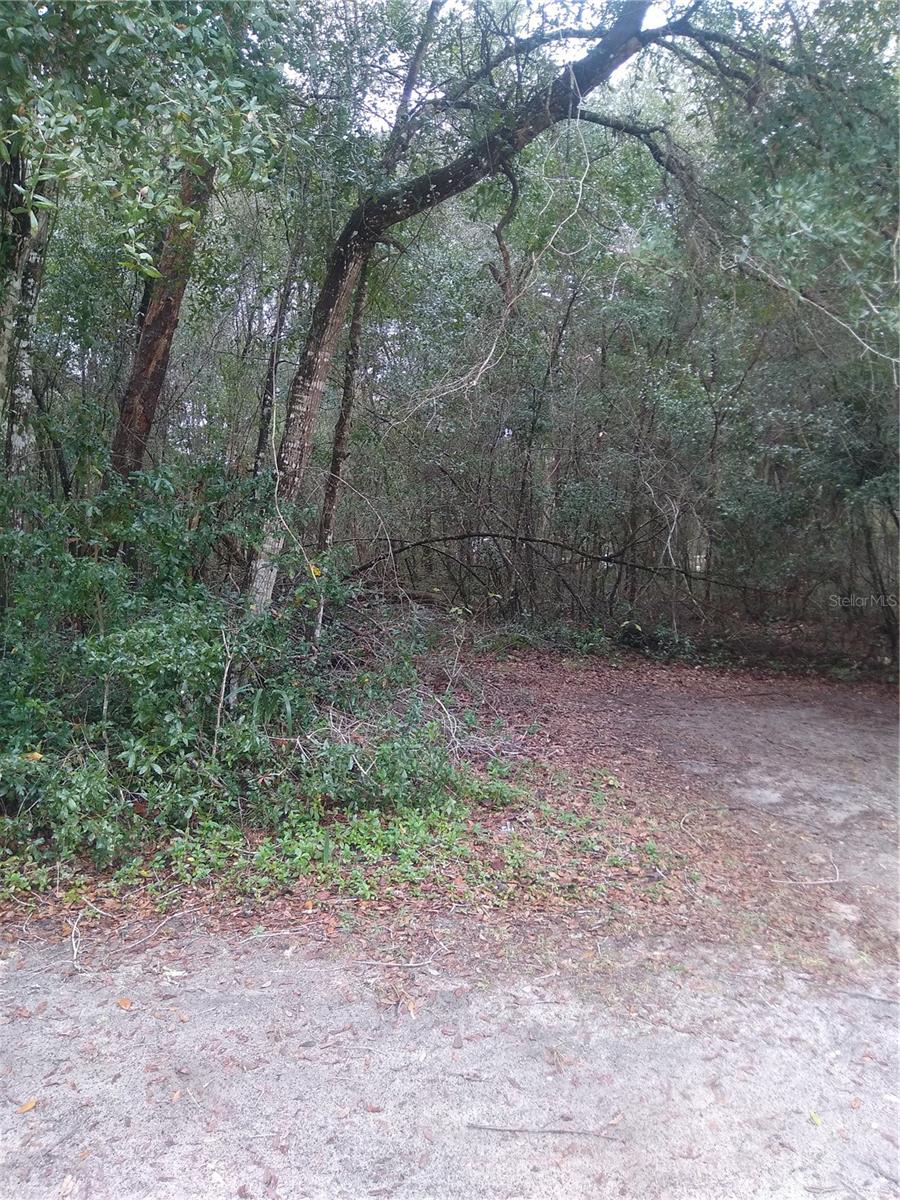 00 NE 147TH COURT, SILVER SPRINGS, FL, 34488