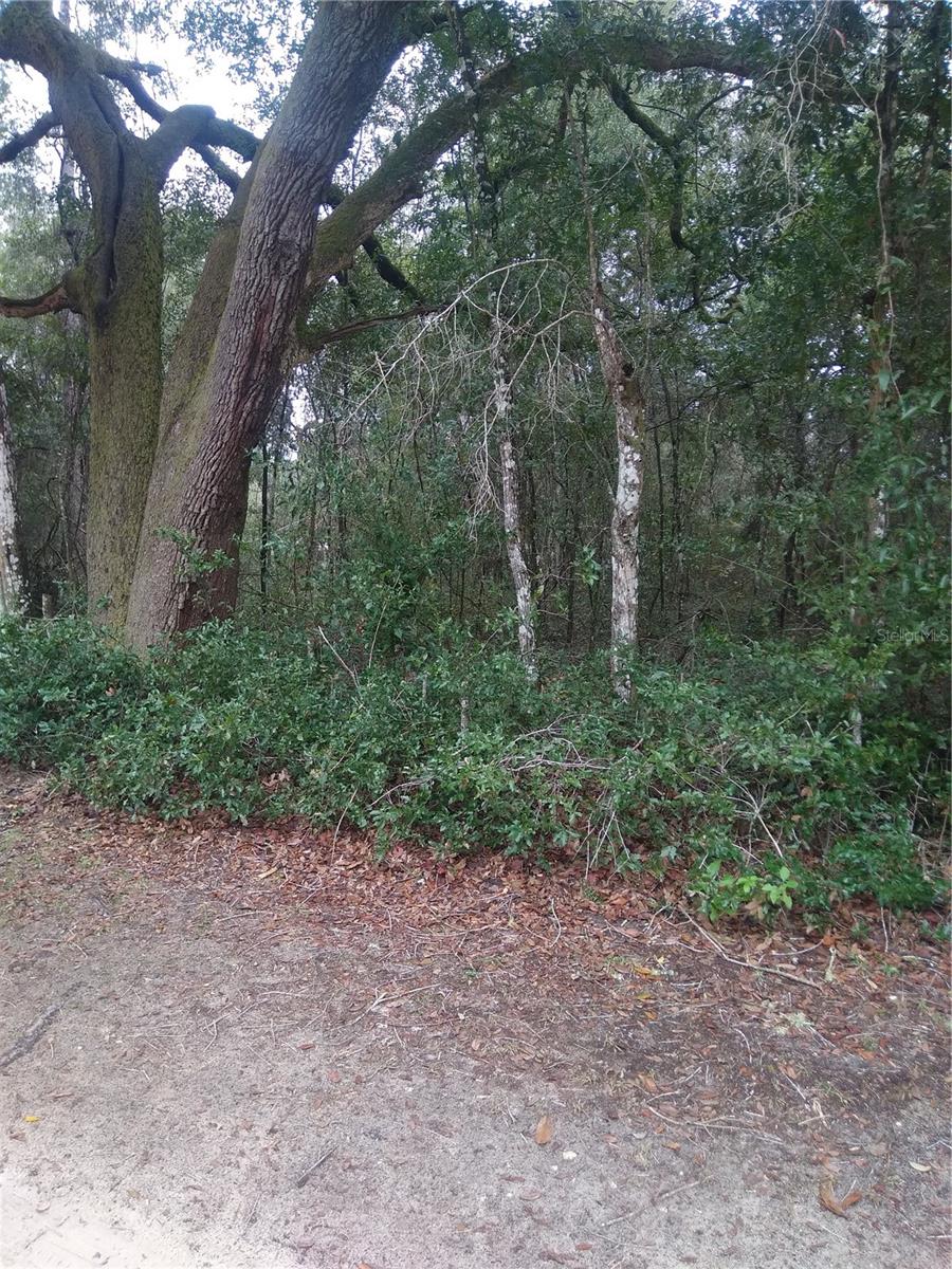 00 NE 147TH COURT, SILVER SPRINGS, FL, 34488