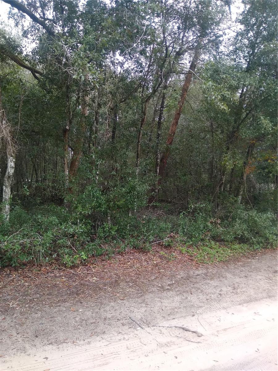 00 NE 147TH COURT, SILVER SPRINGS, FL, 34488