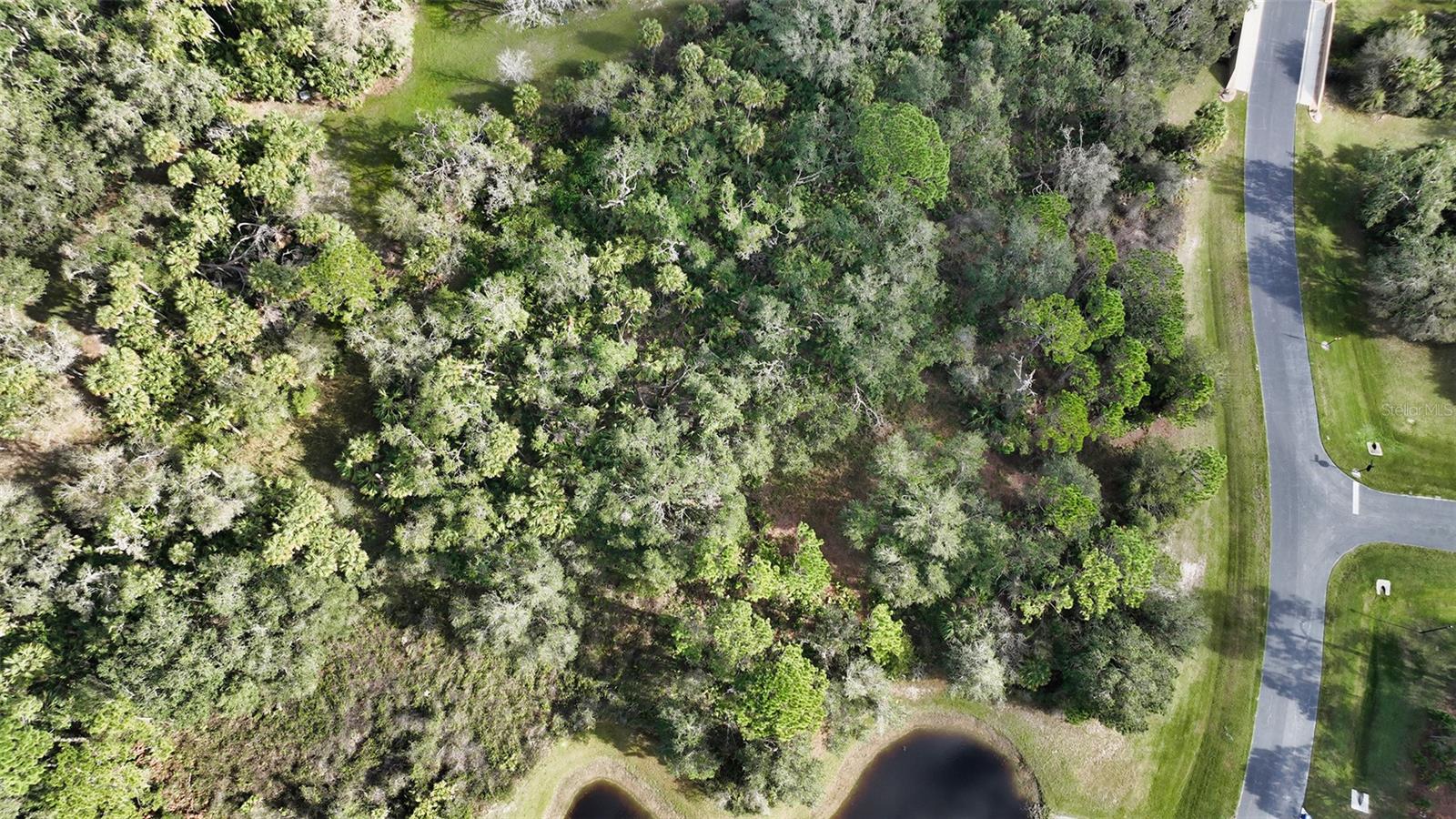 9255 SWAYING BRANCH RD, SARASOTA, FL, 34241