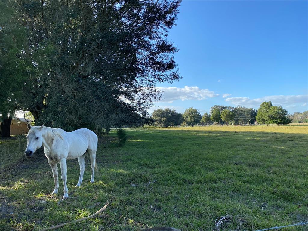 P4923941 Property Photo