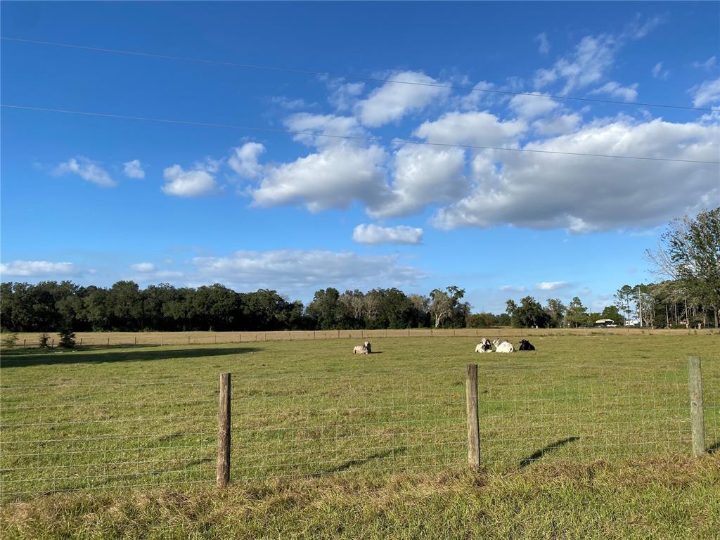 P4923941 Property Photo