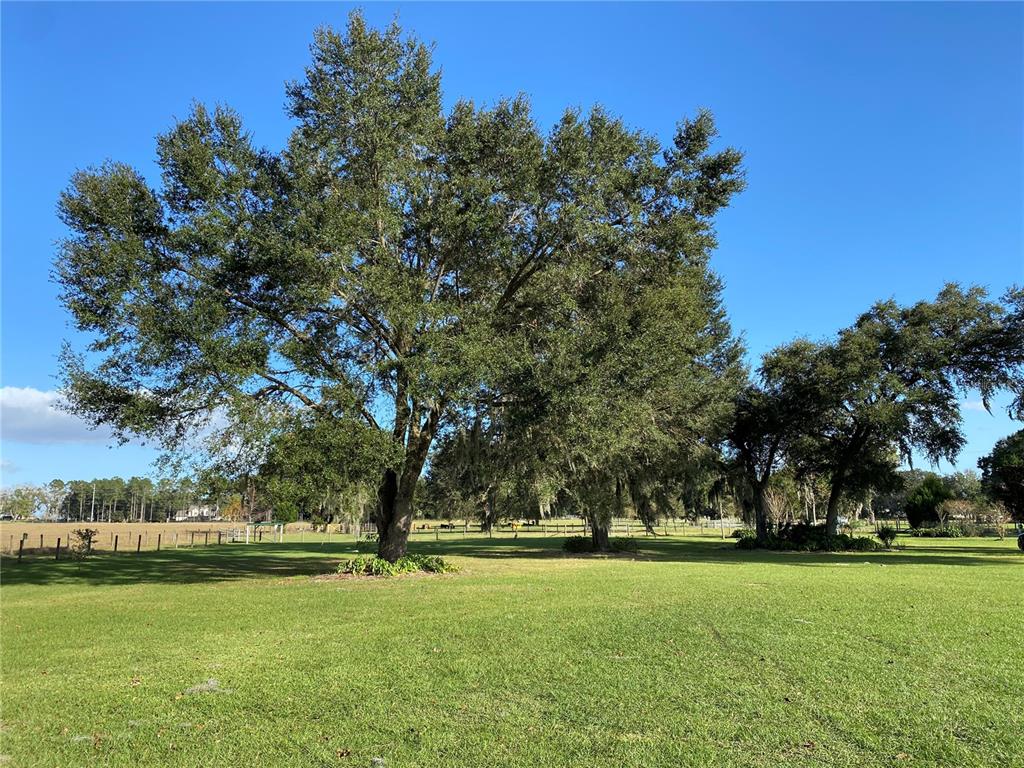 P4923941 Property Photo