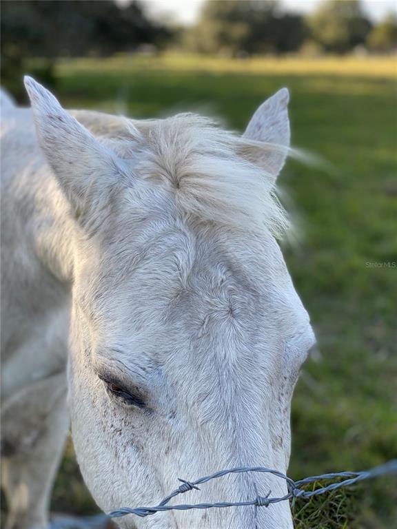 P4923941 Property Photo