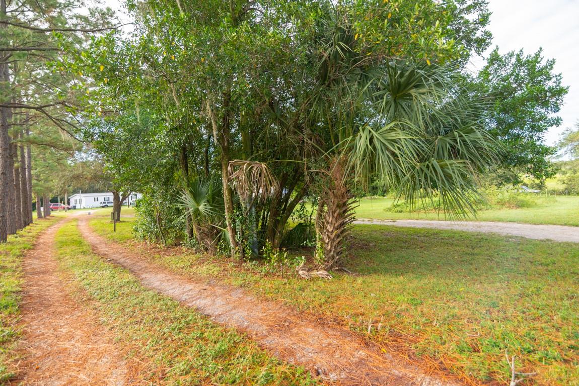 9358 HARNEY RD, THONOTOSASSA, FL, 33592