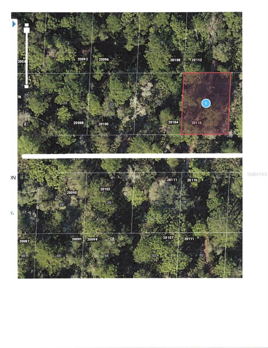 LOT 31 CHASE CT, MOUNT DORA, FL, 32757