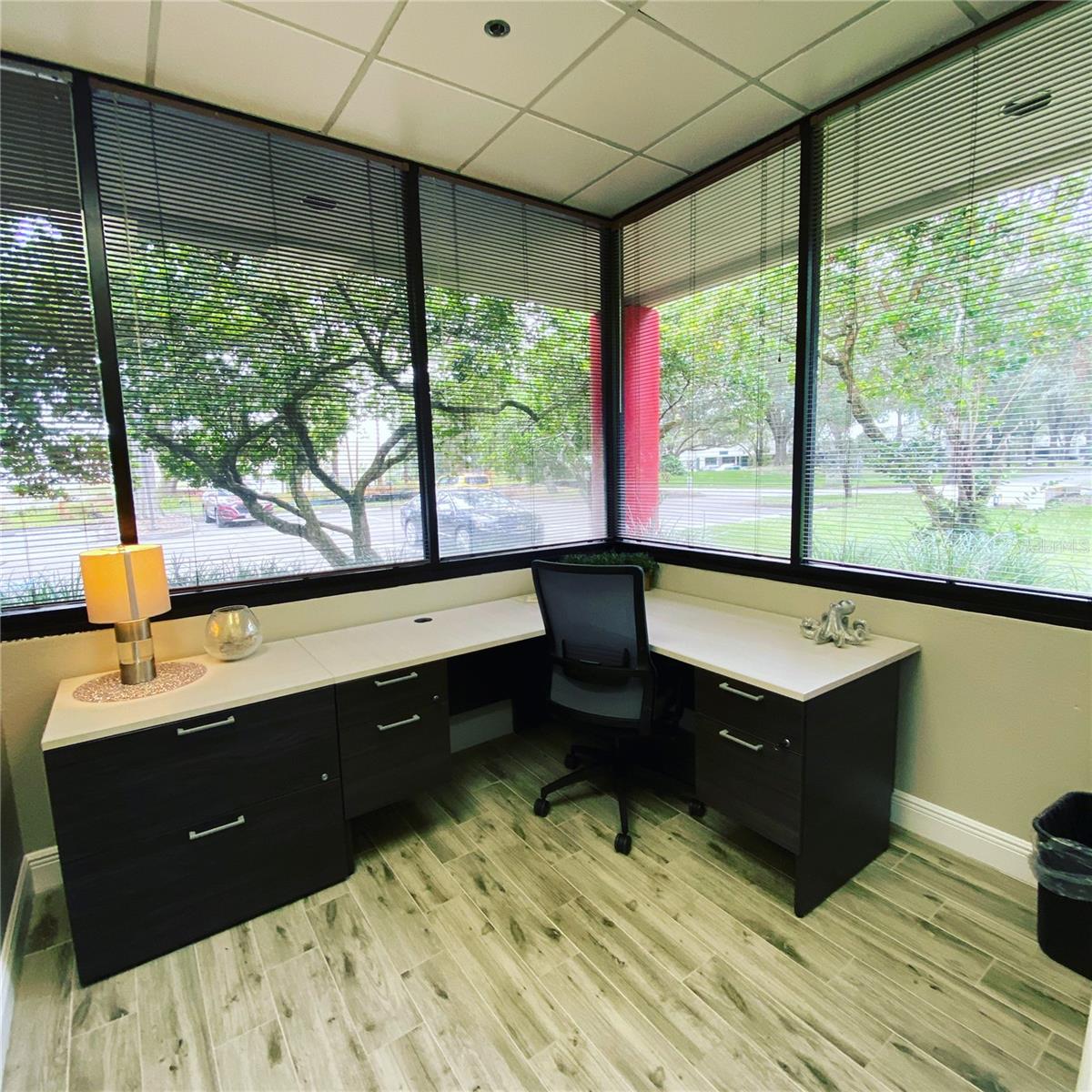 1211 TECH BLVD #111, TAMPA, FL, 33619
