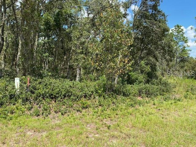SW NECTARINE LN, DUNNELLON, FL, 34431