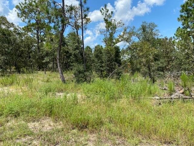 SW NECTARINE LN, DUNNELLON, FL, 34431