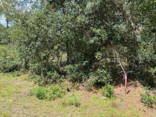SW NECTARINE LN, DUNNELLON, FL, 34431