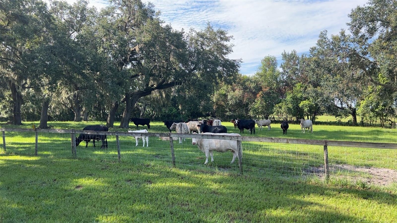 4880 BANNON ISLAND RD, HAINES CITY, FL, 33844