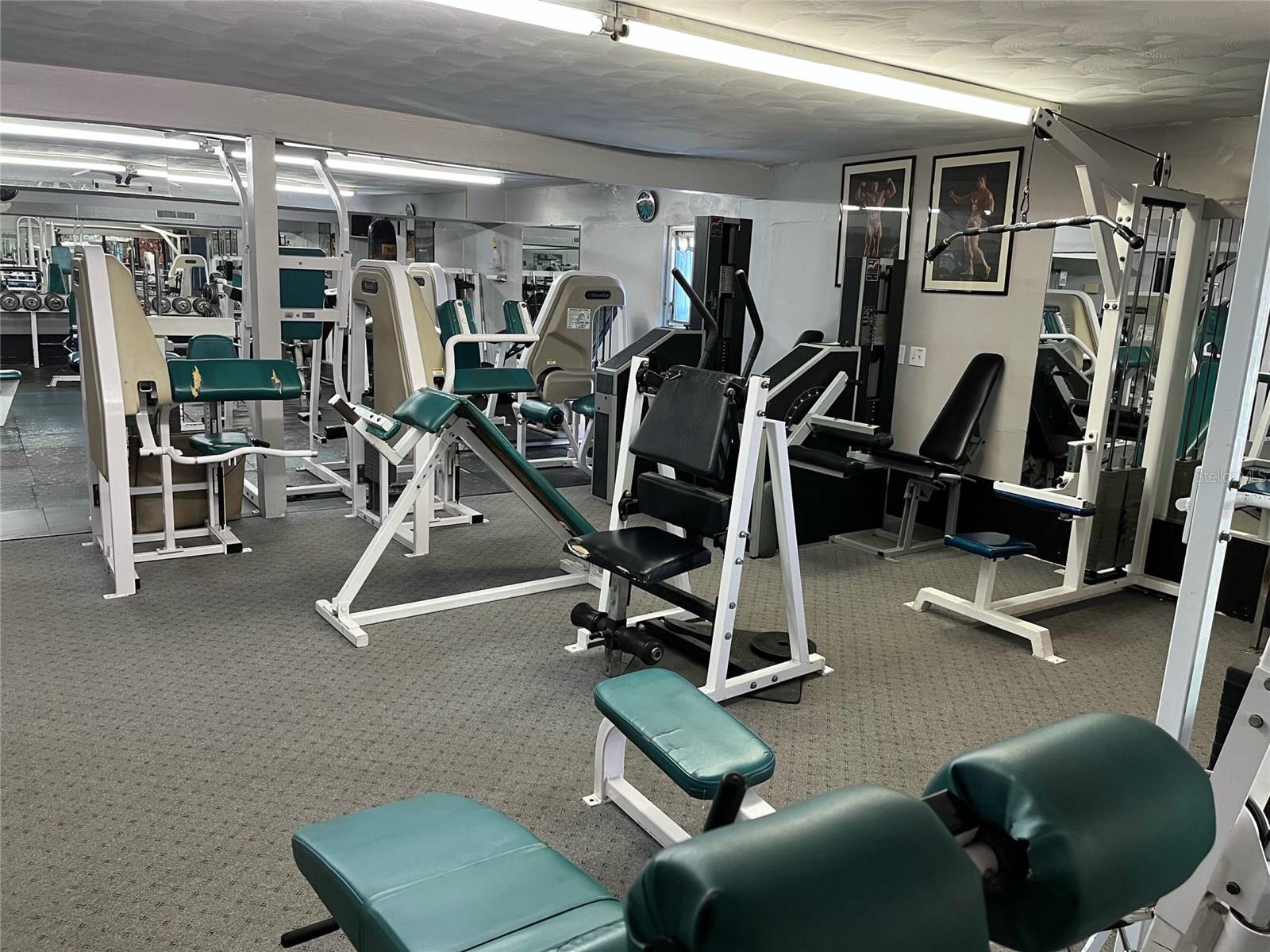 3637 S MANHATTAN AVE, TAMPA, FL, 33629
