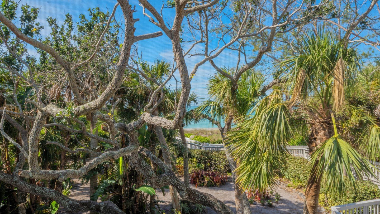 6570 MANASOTA KEY RD, ENGLEWOOD, FL, 34223