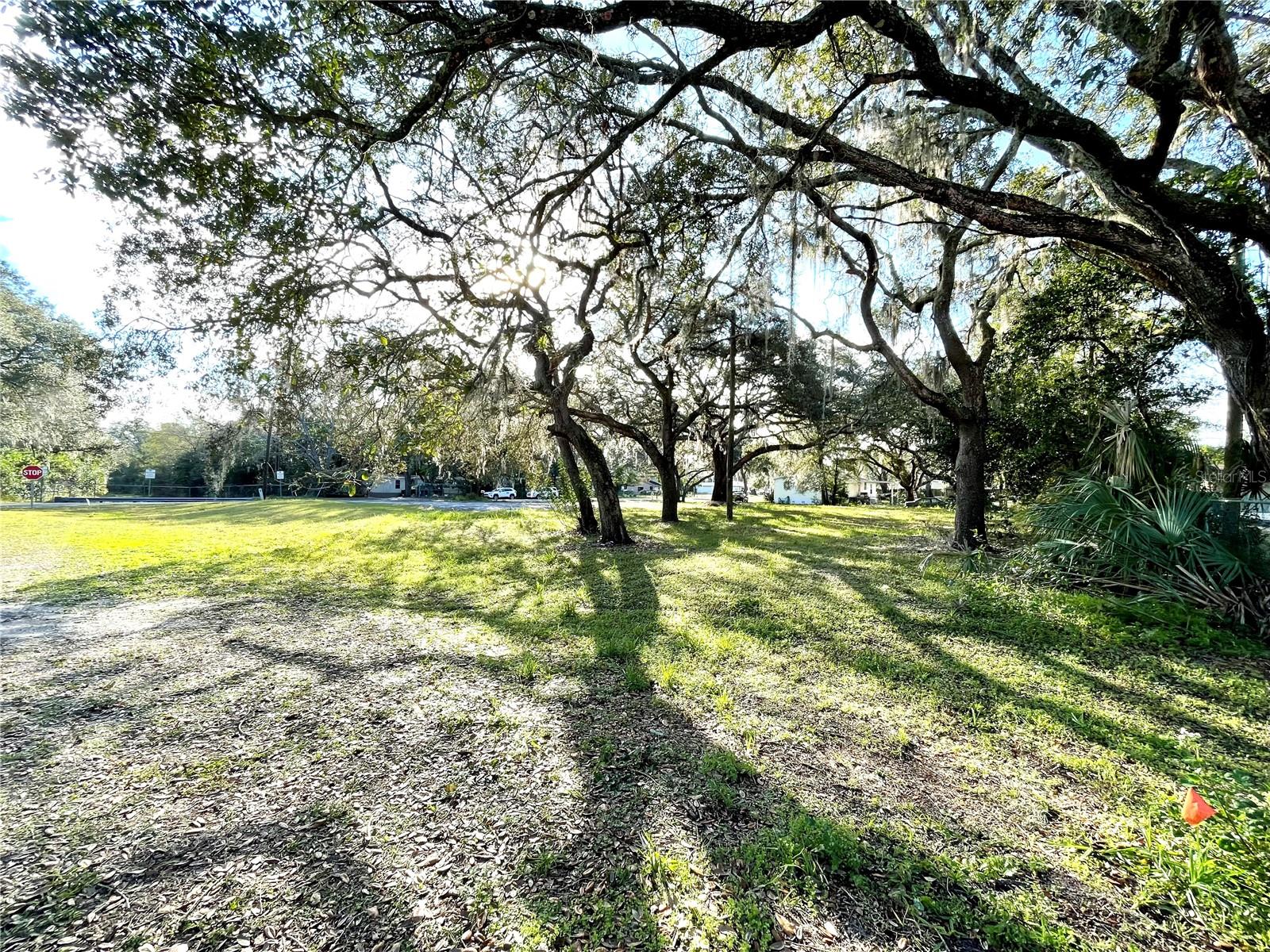 14820 N 15TH ST, LUTZ, FL, 33549