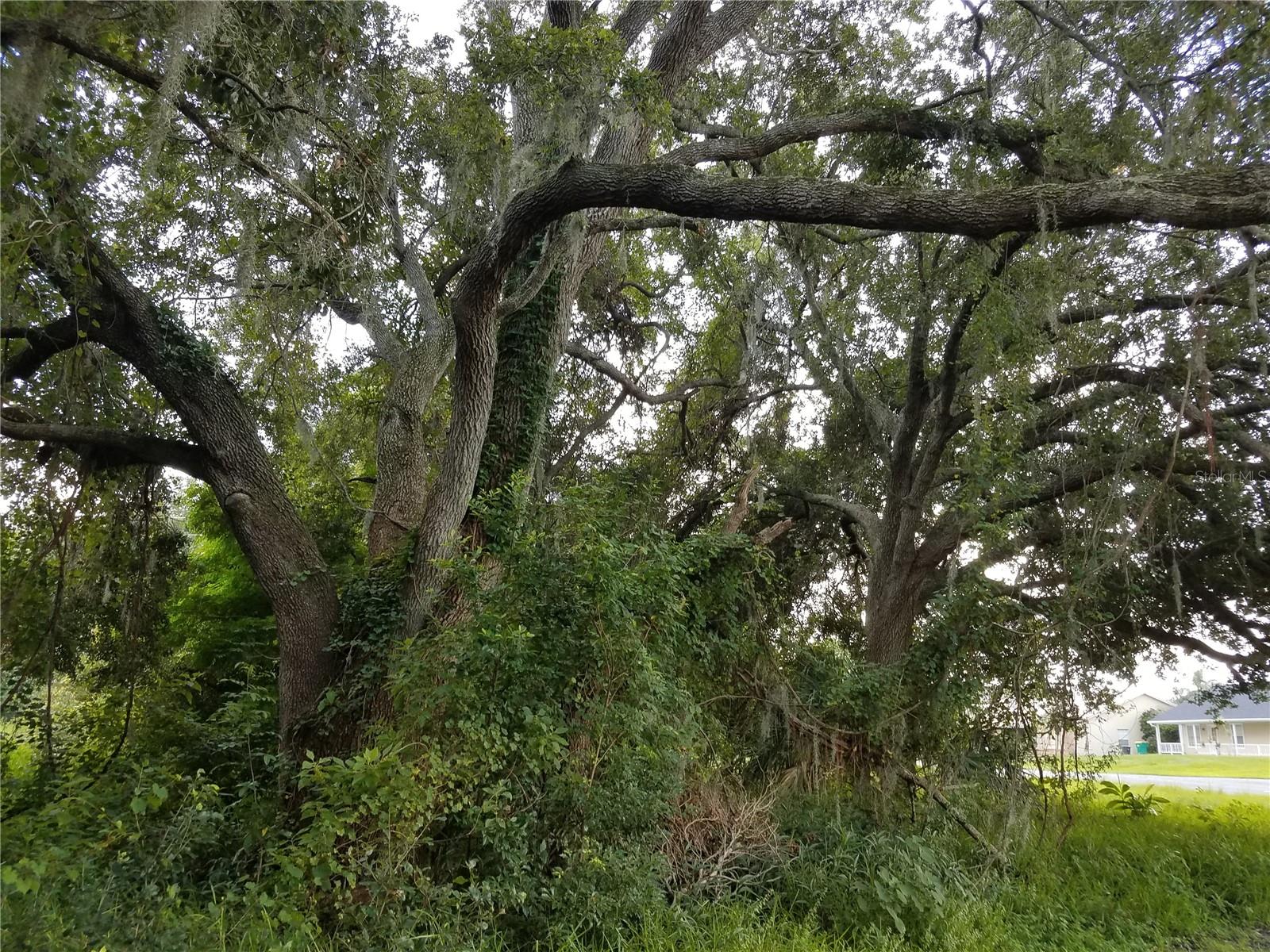 EMERALD LAKE COLONY UNIT 02, KISSIMMEE, FL, 34744