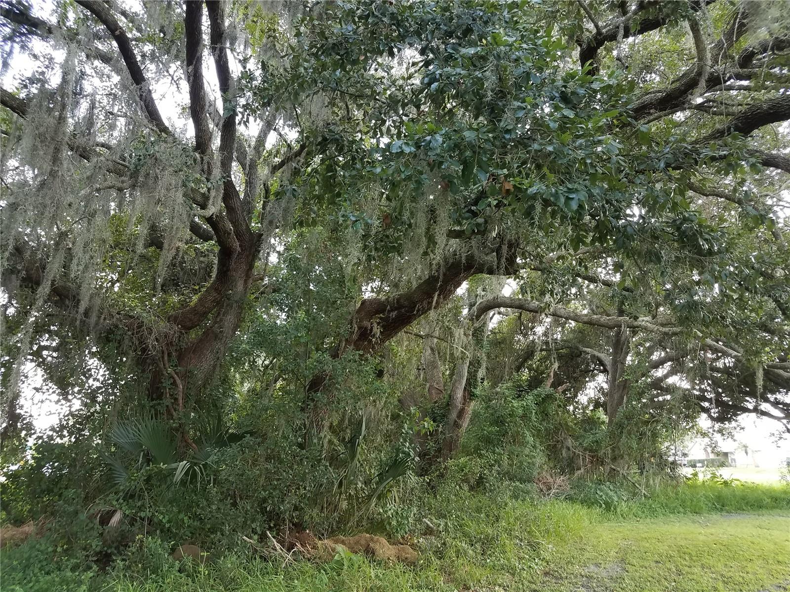 EMERALD LAKE COLONY UNIT 02, KISSIMMEE, FL, 34744