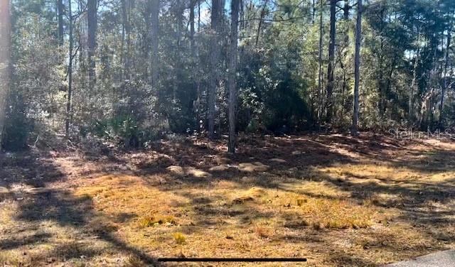 9719 N DELTONA BLVD, CITRUS SPRINGS, FL, 34434