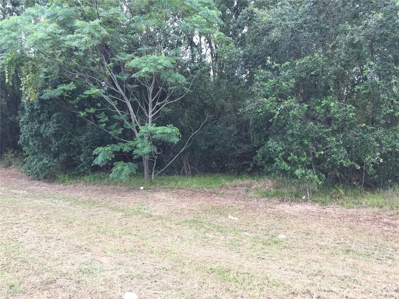 TBD US HWY 27, CLERMONT, FL, 34715