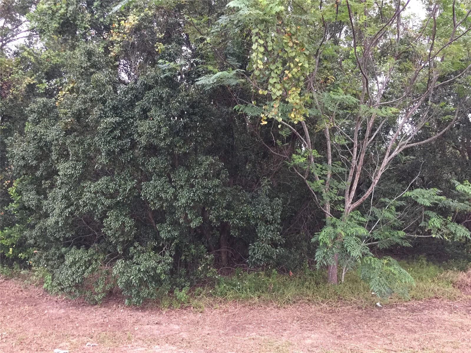 TBD US HWY 27, CLERMONT, FL, 34715